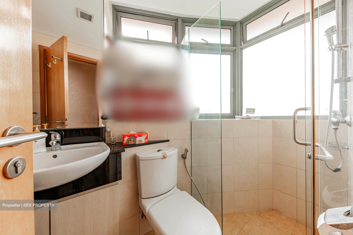 Adam Park Condominium (D11), Condominium #443167631
